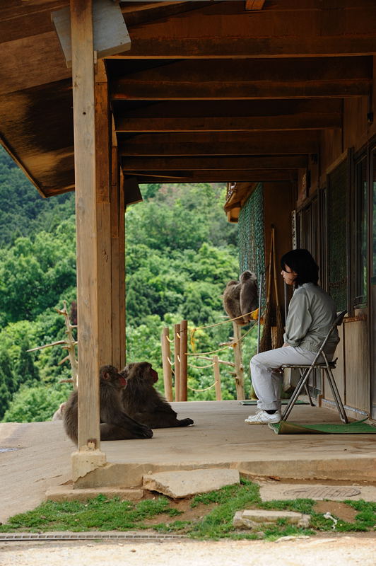 嵐山モンキーパーク岩田山　其の一_f0032011_19575298.jpg