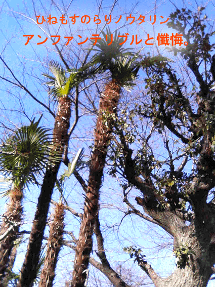 b0182613_2261468.gif