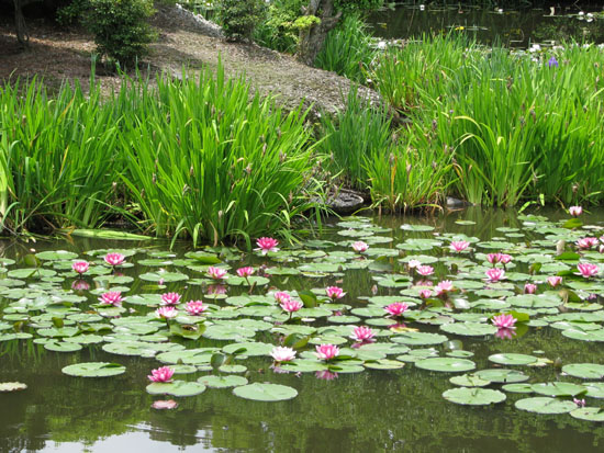 勧修寺_e0048413_19201058.jpg