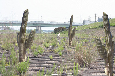 f0191413_1018334.jpg
