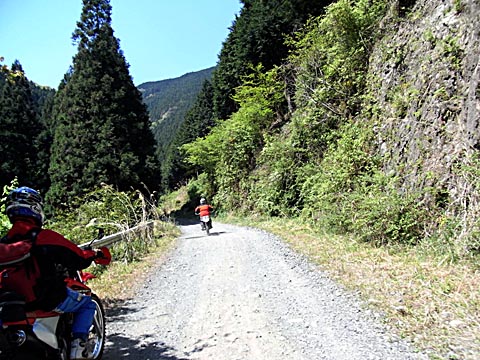 d0136422_2551649.jpg