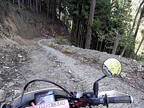 d0136422_314150.jpg