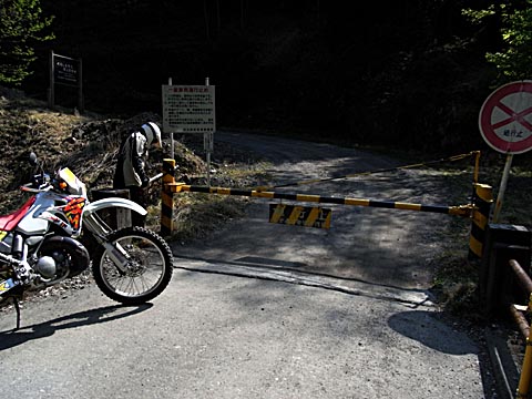 d0136422_331365.jpg