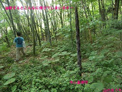f0085327_222625.jpg