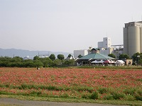 d0086228_10332760.jpg