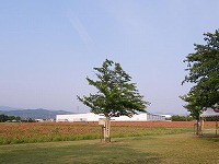 d0086228_13355374.jpg