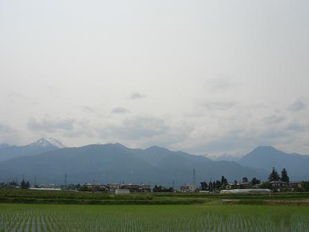 早いもので_a0014840_2271981.jpg