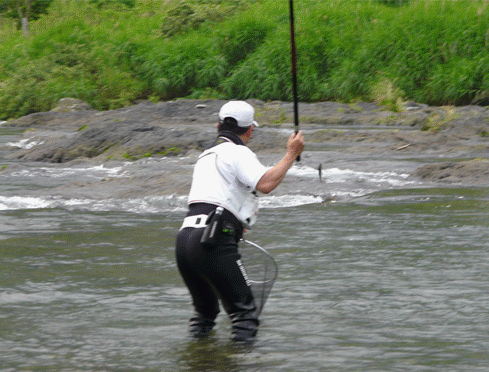 a0056140_0522932.gif