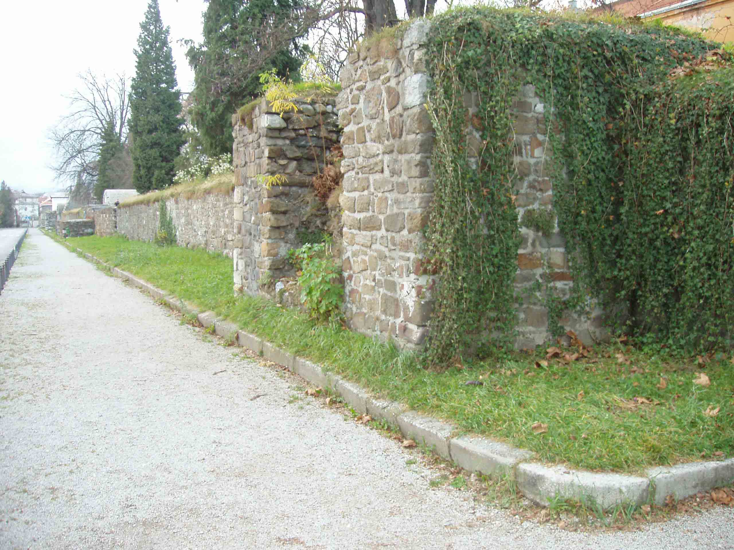 f0196757_6373649.jpg