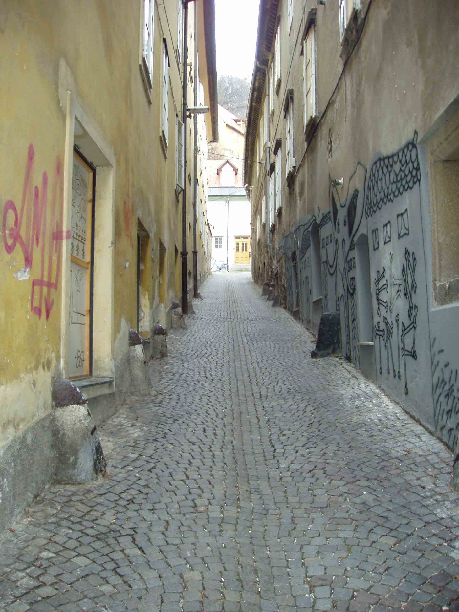 f0196757_637779.jpg