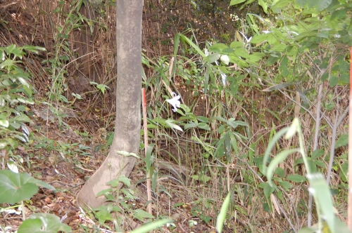 c0108460_2253011.jpg