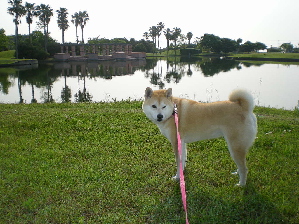 2009年5月26日(火)旅行前日だけどポプリ作り!_f0060461_2158432.jpg