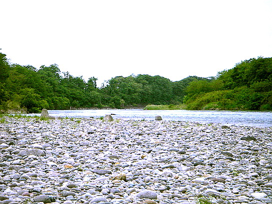 f0084561_15241355.jpg