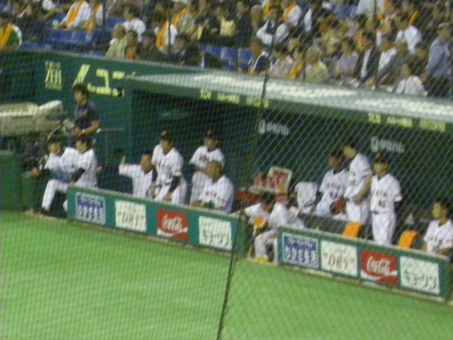 野球観戦 In 東京ドーム ゆるゆるわくわくライフ