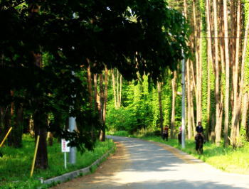 家族旅行　～八ヶ岳一日目～_f0194769_20321770.jpg