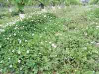 c0054771_15233.jpg