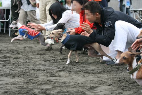 3年振りの海おさ♪(続篇)_e0062371_2135445.jpg