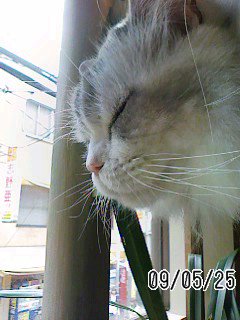 f0200871_21301743.jpg