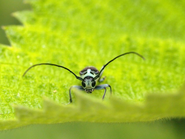 b0135573_21114446.jpg