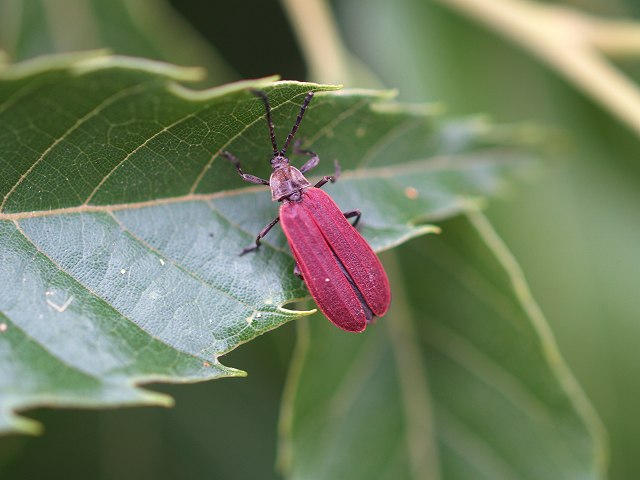 b0135573_21521696.jpg