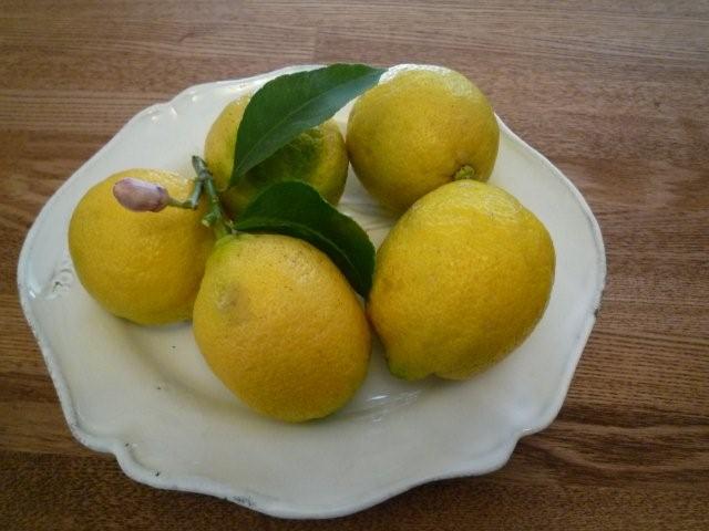 すっぱい蜜柑とすっぱい檸檬_f0073974_12334575.jpg