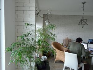2009年 5月26日 どうしたんだ??引っ越ししたら_b0098584_18123851.jpg