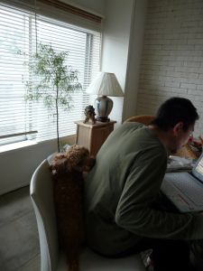 2009年 5月26日 どうしたんだ??引っ越ししたら_b0098584_1815660.jpg
