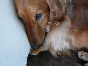 2009年 5月26日 どうしたんだ??引っ越ししたら_b0098584_18171395.jpg