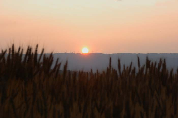 c0177785_664213.jpg