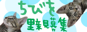 非常にお久しぶりです_c0124488_13152141.gif