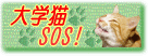 7月！！！_c0124488_13154063.gif