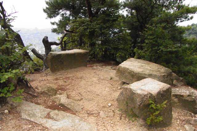 道畦北尾根～荒地山～打越山～森林水平道_c0153888_11332384.jpg