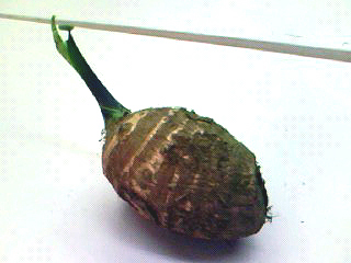 f0008597_2214260.jpg