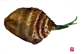 f0008597_222244.jpg
