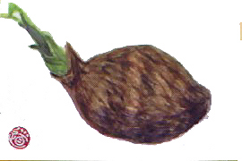 f0008597_2225674.jpg