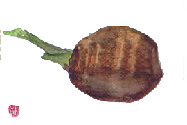 f0008597_222747.jpg