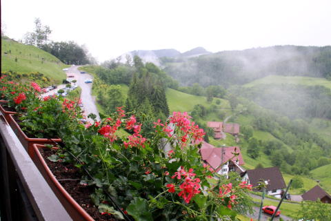 c0090198_5111628.jpg