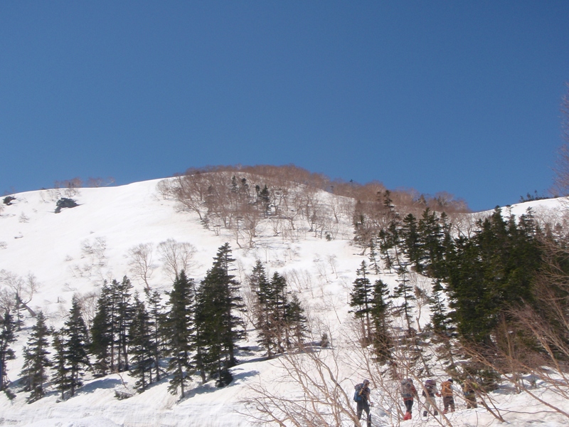 c0147398_0014100.jpg