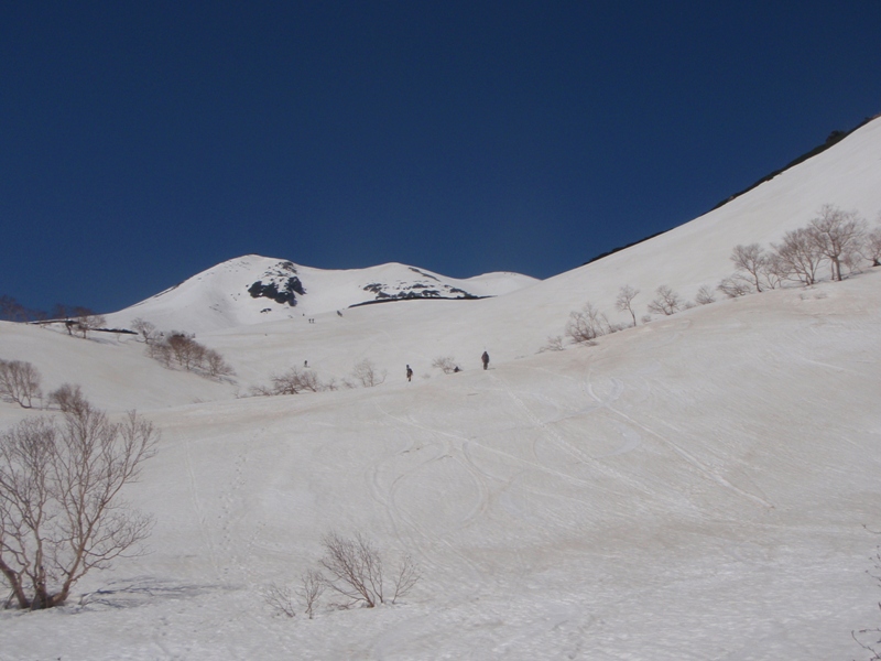 c0147398_014732.jpg