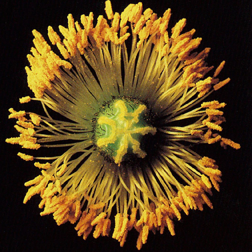 d0086900_14445037.jpg