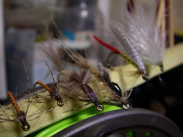 c0180802_23282020.jpg
