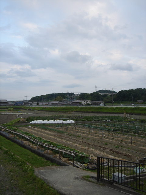 f0179202_7594868.jpg