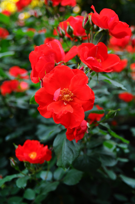 b0158403_9235136.jpg