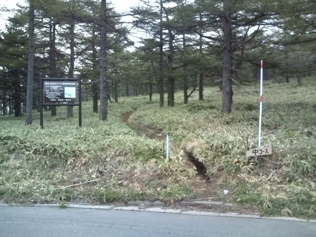 e0028904_23383387.jpg