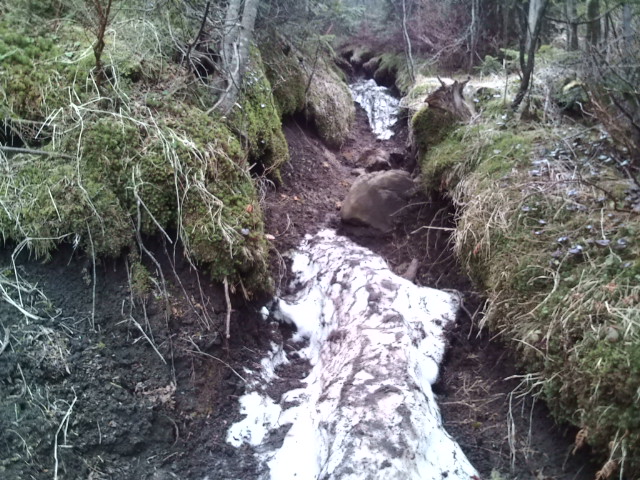 e0028904_2339397.jpg