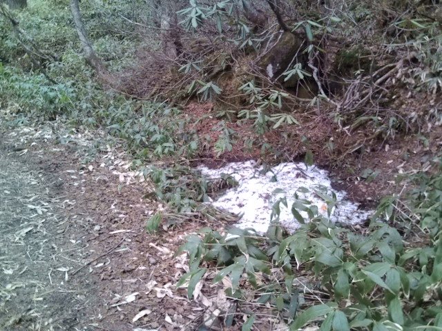 e0028904_2339961.jpg