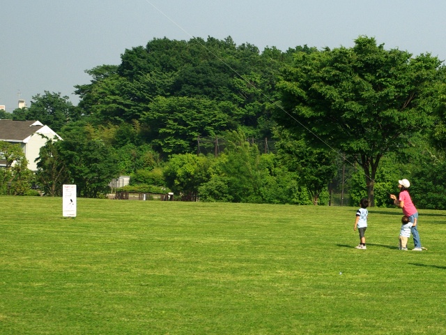 e0138005_168381.jpg