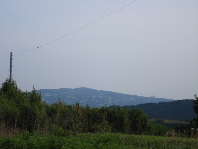 e0015108_82894.jpg