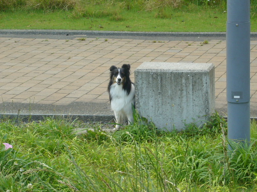 e0130008_2247044.jpg