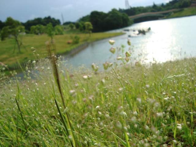 c0004311_7345773.jpg